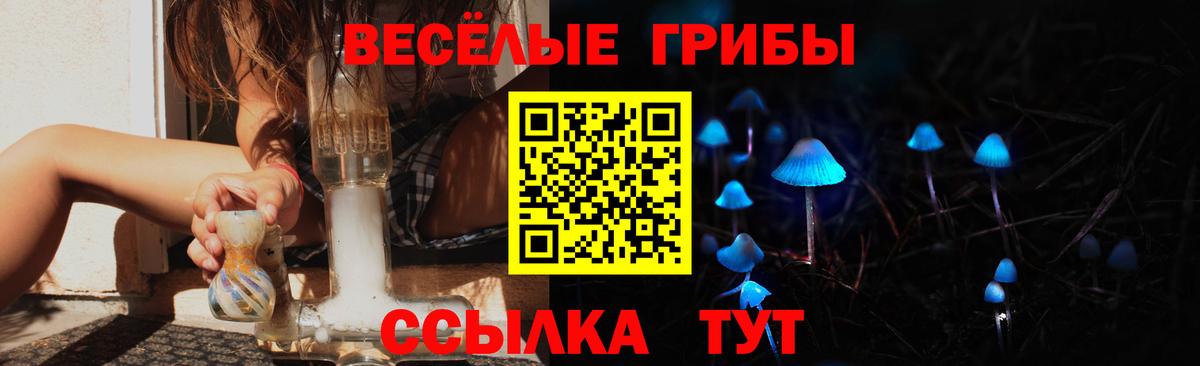 купить наркотики цена  Галлюциногенные грибы ЛСД  Вход с VPN  Галлюциногенные грибы Psilocybe  Видное 