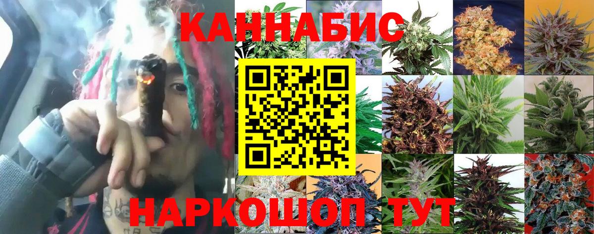 Бошки марихуана ГИДРОПОН Видное